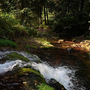 P1024578a_klein.jpg