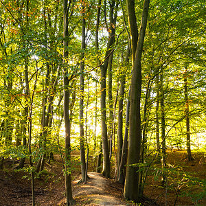 Dalbekschlucht im September