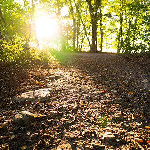 Dalbekschlucht im September