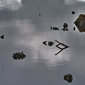 DSC_2753.jpg