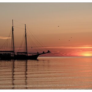 Segler bei Sonnenaufgang