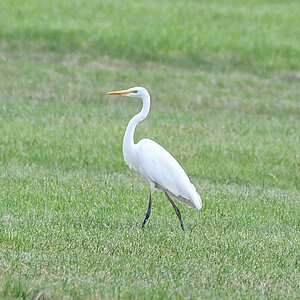 DSC_0505.jpg