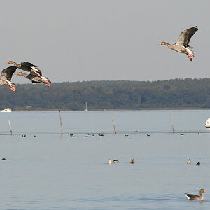 DSC_9987.jpg