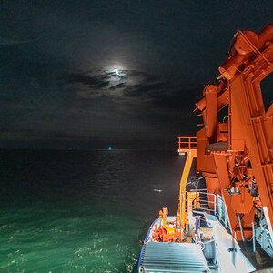 201001 AL545 NF-F-3.jpg