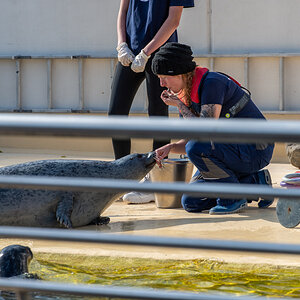 201001 AL545 NF-F-15.jpg