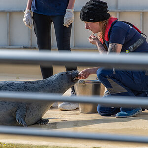 201001 AL545 NF-F-16.jpg