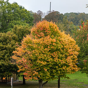 201001 AL545 NF-F-33.jpg