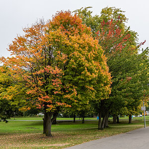 201001 AL545 NF-F-34.jpg