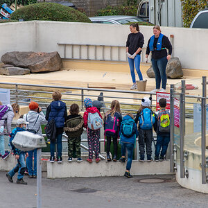 201001 AL545 NF-F-37.jpg