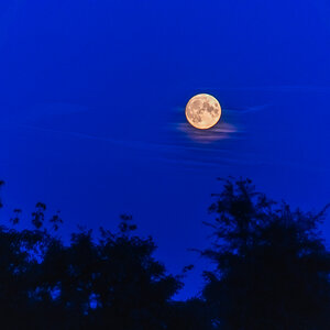 201001 AL545 NF-F-42.jpg