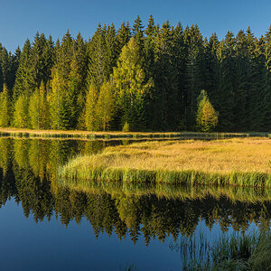 D72_0407.jpg