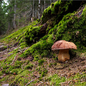 P9040451.jpg