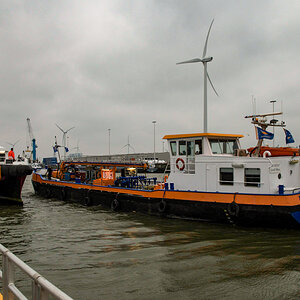 20201003_085038_nf.jpg