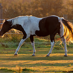 HAR_8108-2.jpg