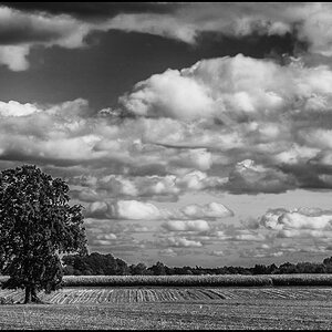 Maiswolken 2 (1 von 1).JPG