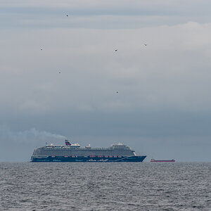 201005 AL546 NF-F-1.jpg