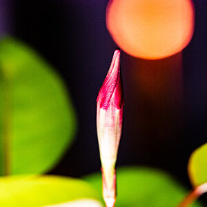 Farben