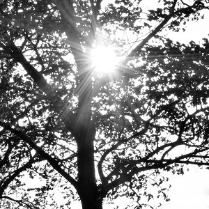 20201007_171730_nf.jpg