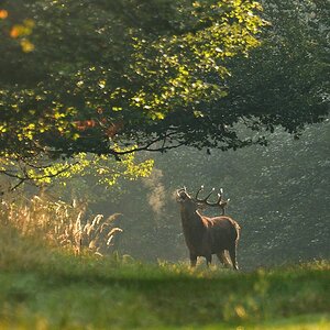 2020_27647.jpg