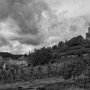 DSC_4956-Druck.jpg