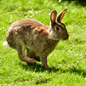 20200904_140500_nf.jpg