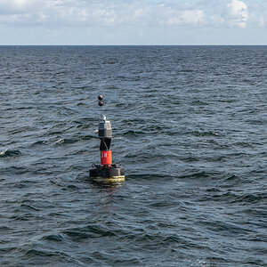 201009 AL546 NF-F-7.jpg