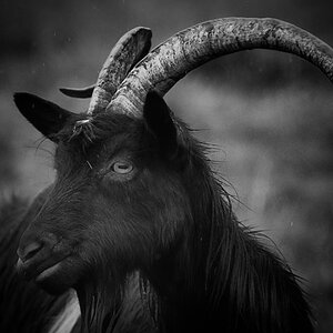 _DSC1054-Bearbeitet-Bearbeitet-1.jpg