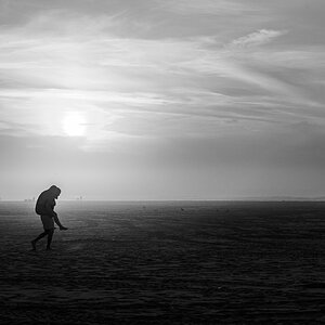 HAR_7495-2.jpg