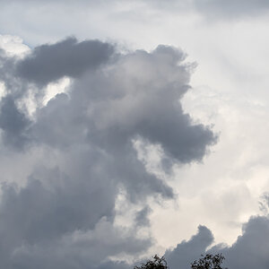 OF5_05116.jpg
