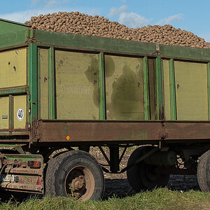 Kartoffelernte 1 (1 von 1).JPG