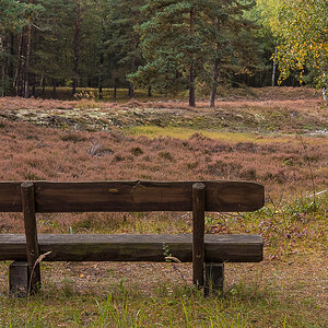 Herbstliche Heidebank (1 von 1).JPG