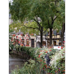 ElsassDSC_0944.jpg