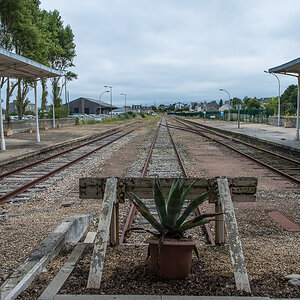 Roscoff_3_1200.JPG