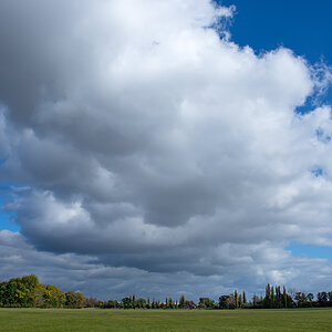 OF2_44196.jpg