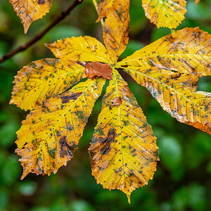 HAR_8824-2.jpg