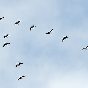 OF5_05295.jpg