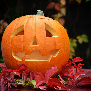halloween kürbis_1200.jpg