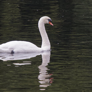 _A170021_DXO_Axl.jpg