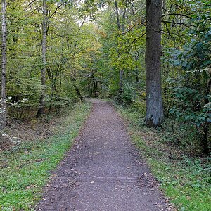 DSCF3316Sxl.jpg