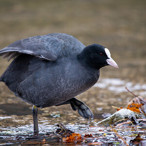 HAR_9022-2.jpg