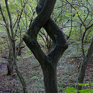 DSCF3343Hxl.jpg