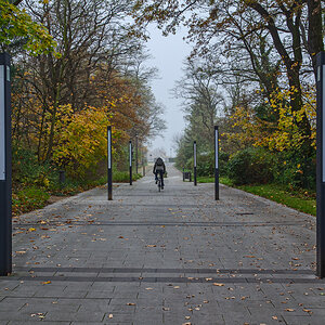 OF-27608.jpg
