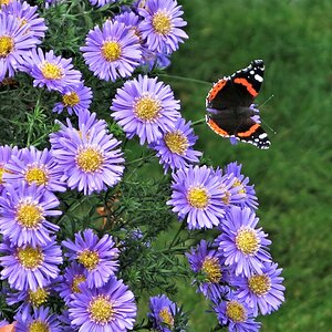 Bei Sonnenschein 19.10.2020.jpg