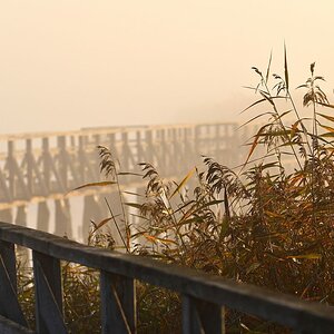 2020_31263.jpg