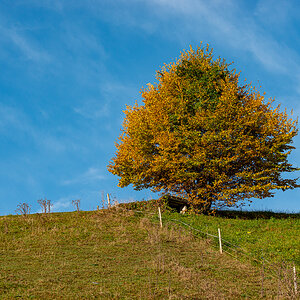 HAR_9216-2.jpg