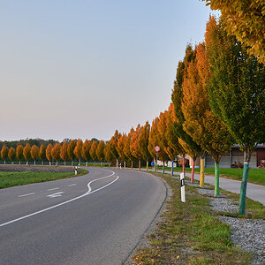 _AB76124.jpg