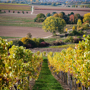 Herbstfarben-4295.jpg