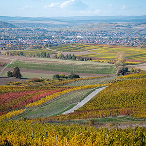 Herbstfarben-4300.jpg