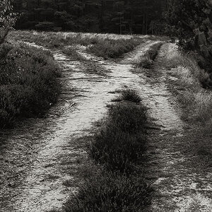 Crossroads (1 von 1).JPG