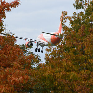 DSC_3950.JPG